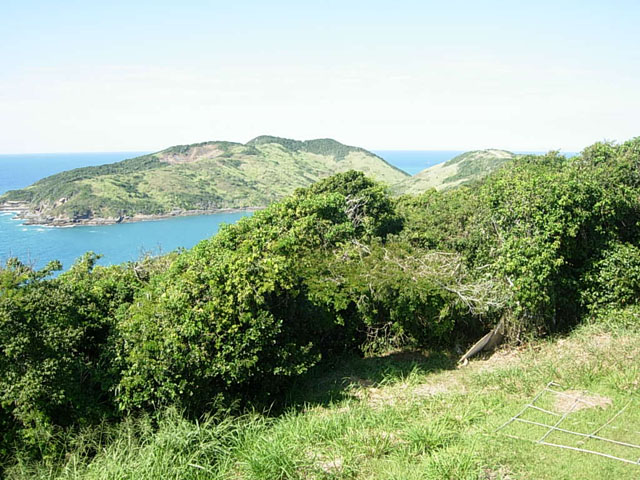 DSCN2308