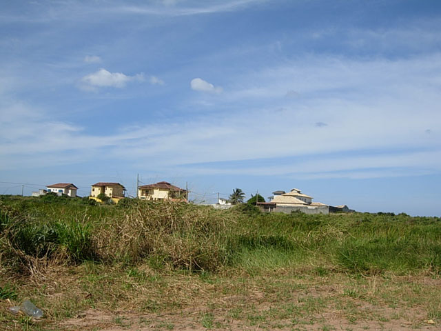 DSCN2384