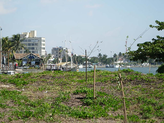 DSCN2436