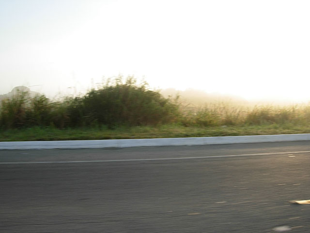 DSCN2455