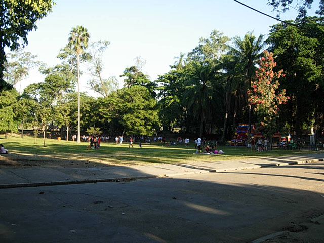 DSCN2529
