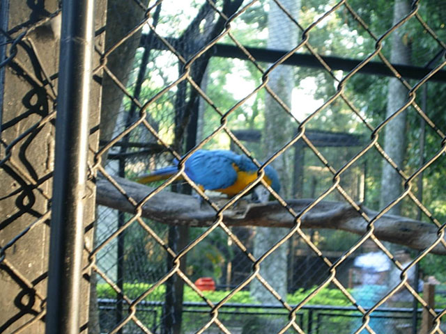 DSCN2539