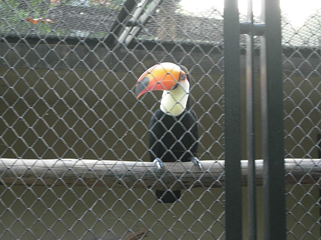 DSCN2550_ZOO