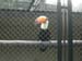 DSCN2550_ZOO