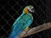 DSCN2554