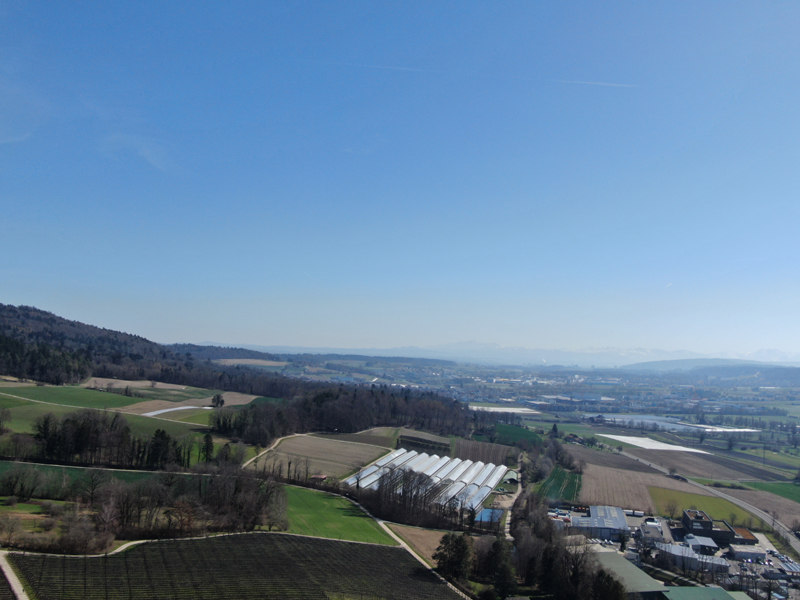 DJI_0226