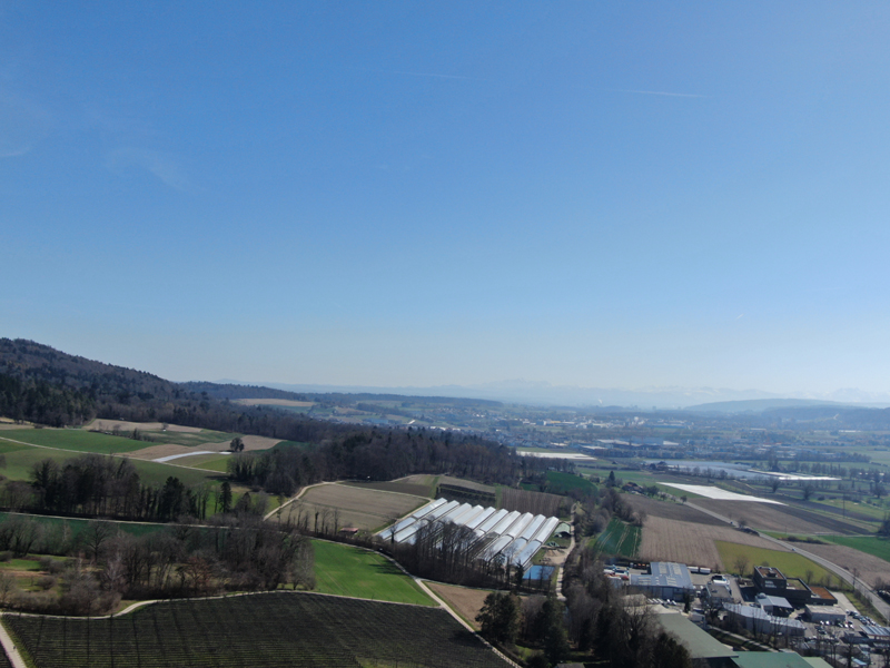 DJI_0227