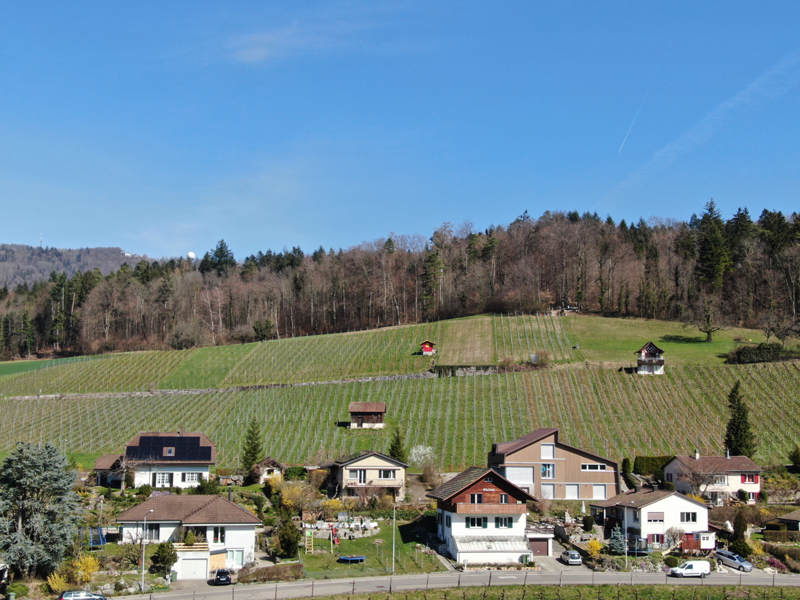 DJI_0233