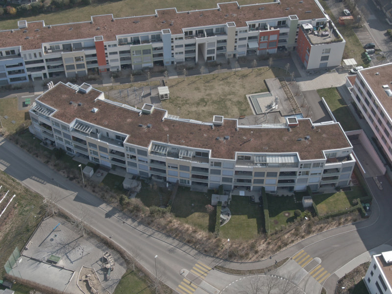 DJI_0245