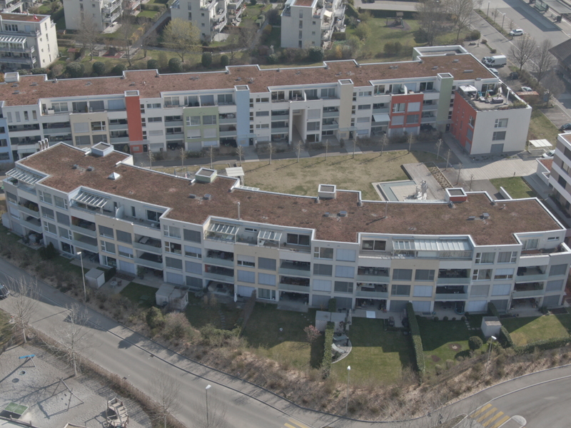 DJI_0246