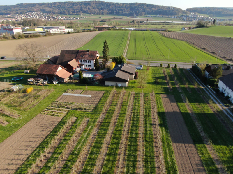 DJI_0263