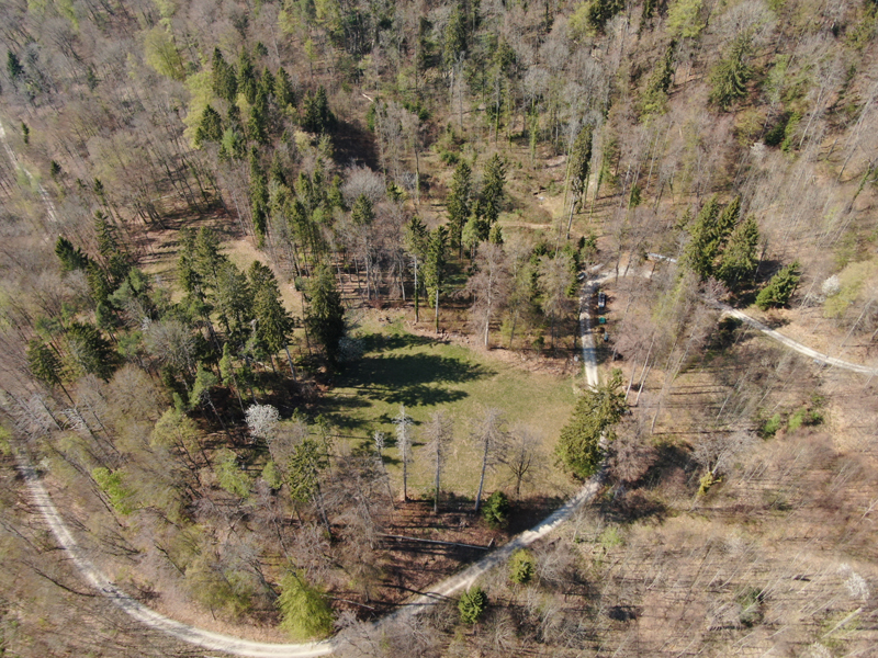 DJI_0303