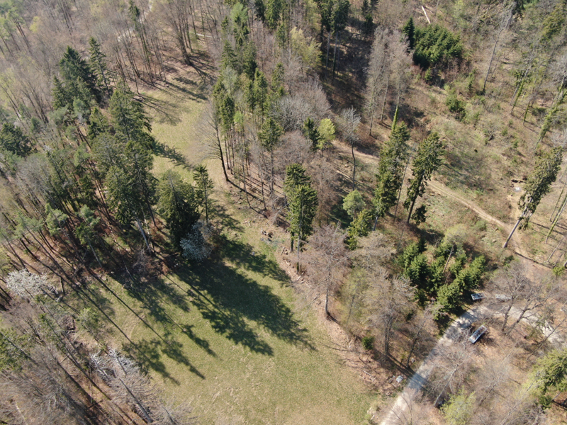 DJI_0311