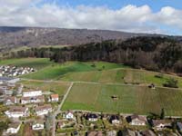 DJI_0220
