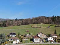 DJI_0233