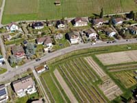 DJI_0236
