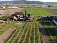 DJI_0263