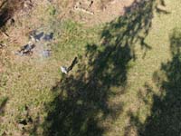DJI_0299