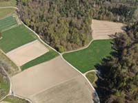 DJI_0307