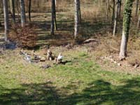 DJI_0314